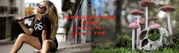 прущая мука Волоколамск