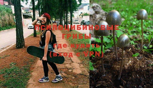 гашиш Волосово