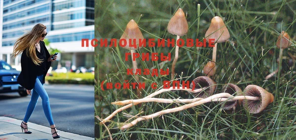 MDMA Premium VHQ Вязники