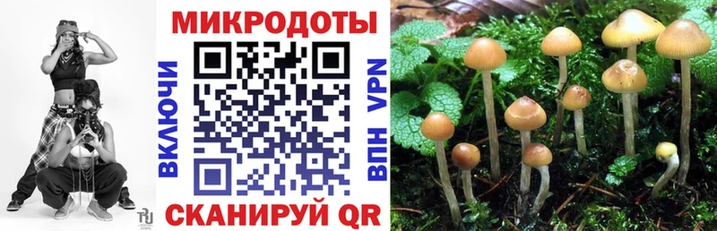 Галлюциногенные грибы мухоморы  Верхний Уфалей 